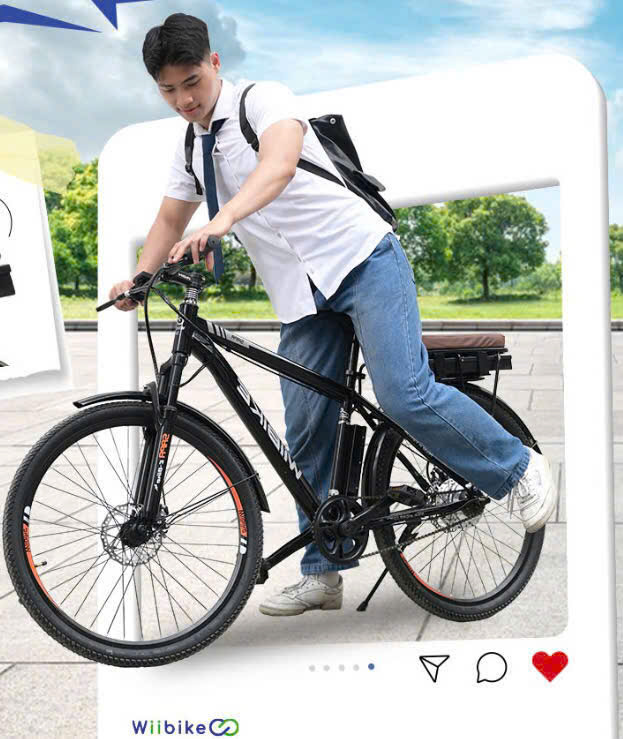  Xe đạp trợ lực điện WIIBIKE SAPA PRO